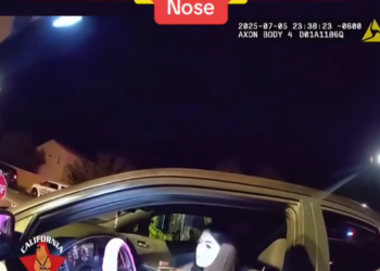 Full Incident Breakdown: 19-Year-Old Driver Approaches DUI Checkpoint with Suspected Powder Residue
